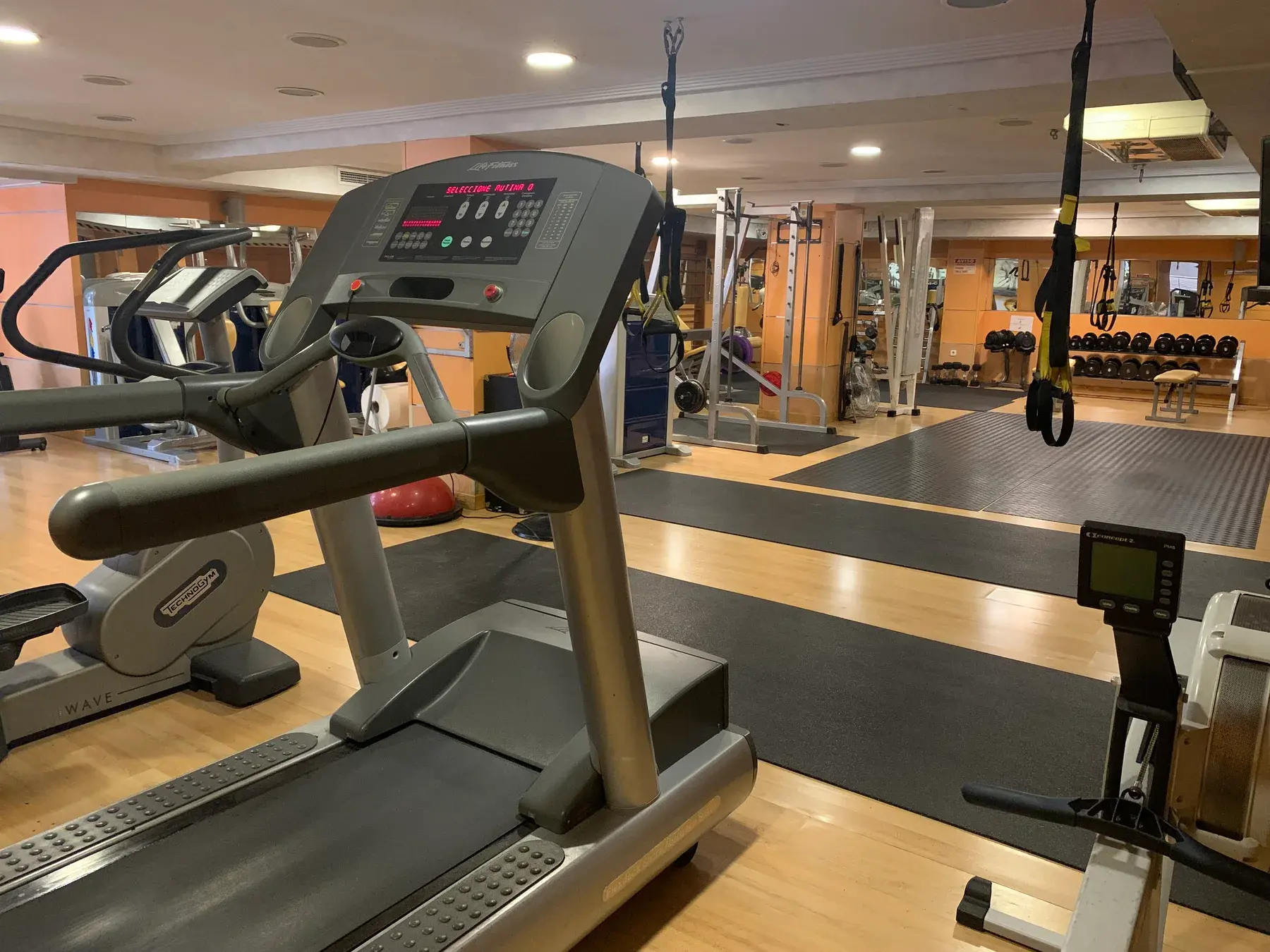 Entrenamiento de fuerza en Vida Nova